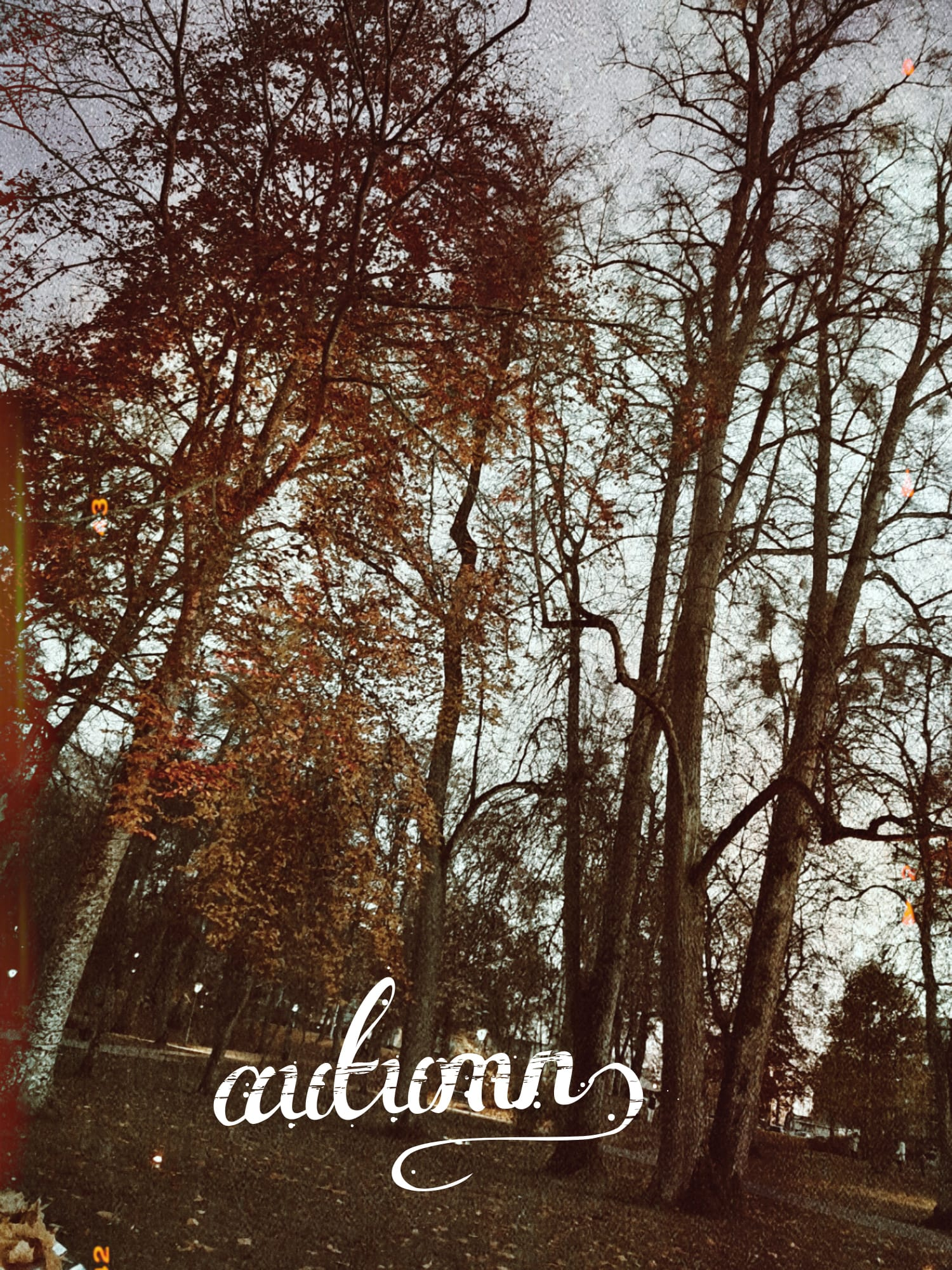 Autumn.