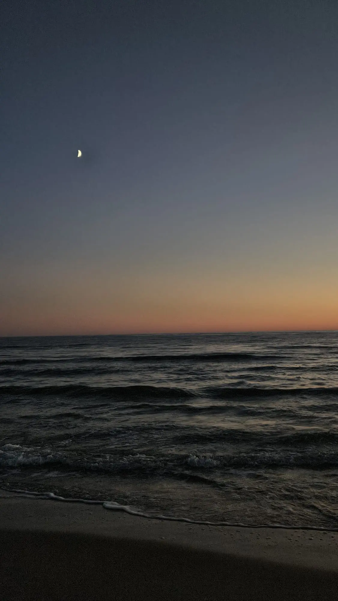 Moonlight.