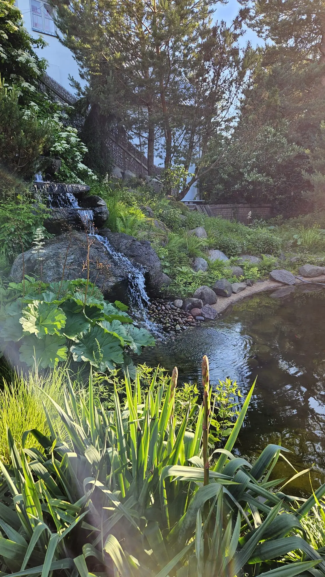 Nature.